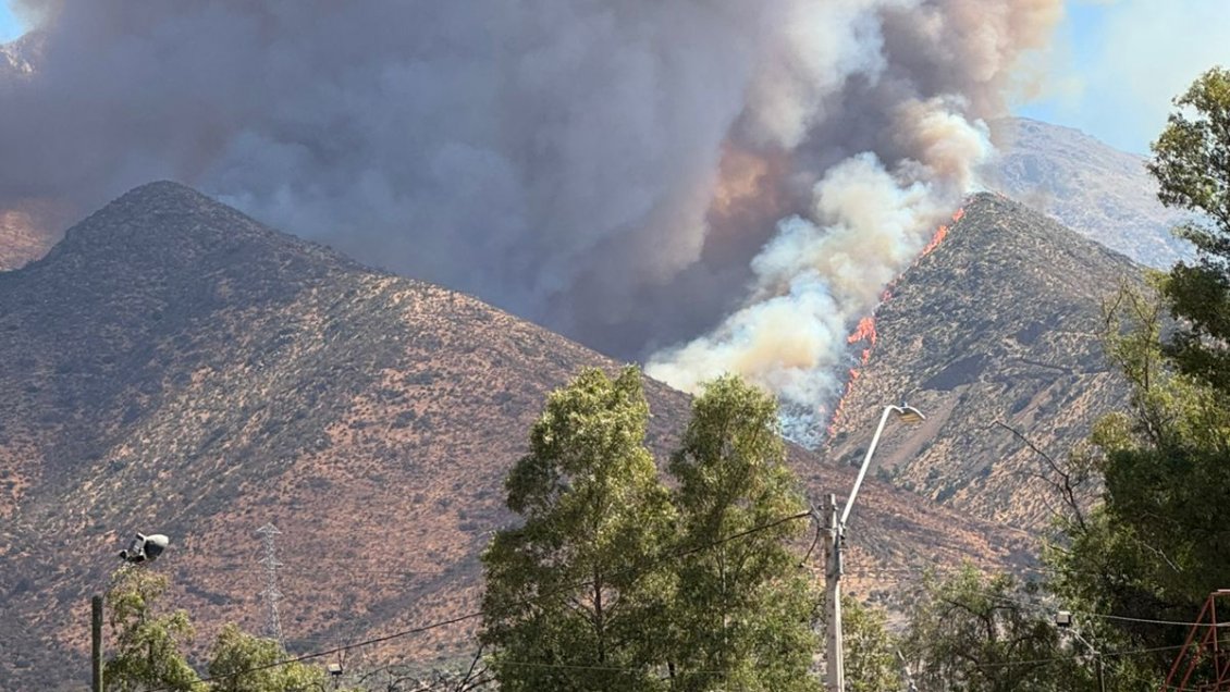 Incendio forestal en Tiltil: Reportan más de 200 hectáreas afectadas