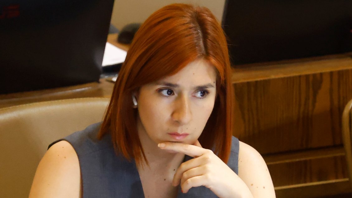 Democracia Viva: CDE atribuye a Catalina Pérez 