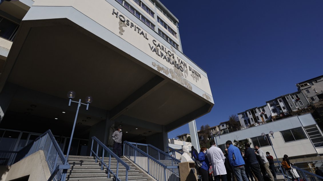 Denuncian suspensión de cirugías por plaga de ratones en pabellones del Hospital de Valparaíso