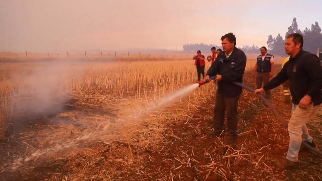 Ministro negó haber hecho 