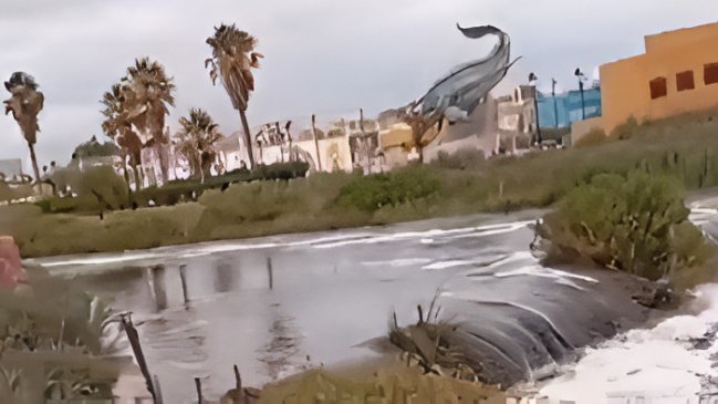 Calama: Senapred ordenó evacuación por desborde del Río Loa