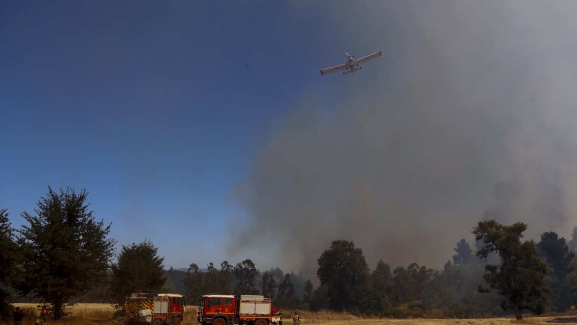 Incendios forestales: Mantienen toque de queda para seis comunas en La Araucanía