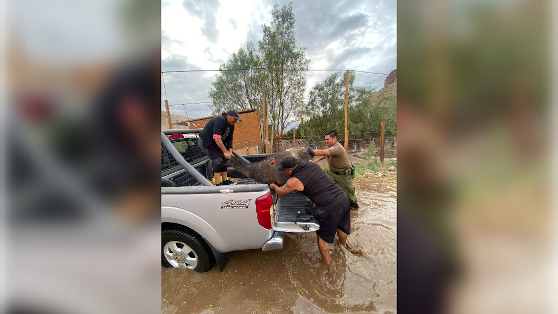 Alerta temprana preventiva para Arica por intensas lluvias y tormentas eléctricas