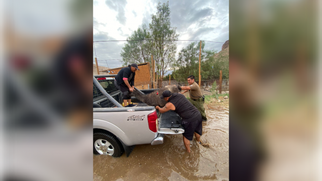 Alerta temprana preventiva para Arica por intensas lluvias y tormentas eléctricas