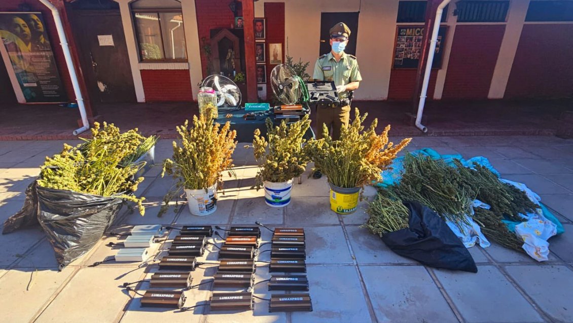 Operativo antidrogas en Buin: Siete detenidos y 17 kilos de marihuana incautados