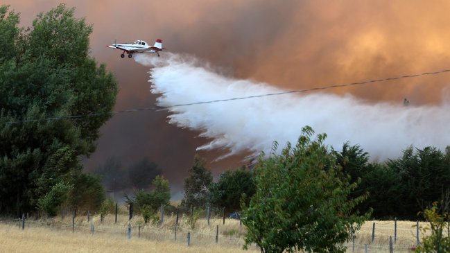 Conaf: Incendio forestal en Argentina no ha llegado a territorio chileno