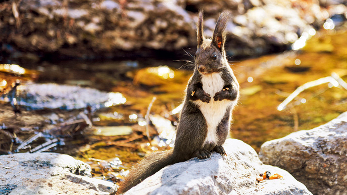 China Hoy: El avance de Beijing