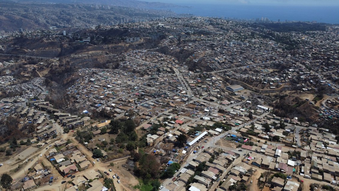 Megatoma: Dueños ven 