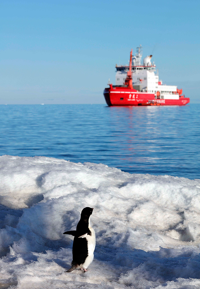 Imagen foto_00000012