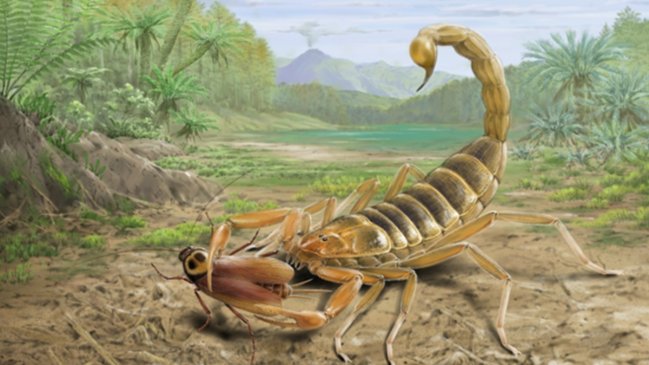 Descubren en China el primer fósil de escorpión mesozoico de 125 millones de años