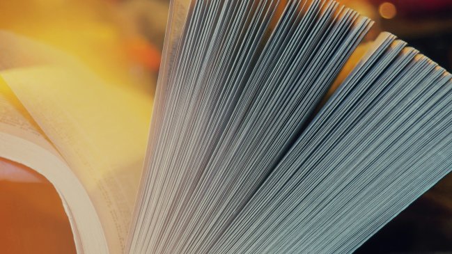 Seminario abordará la literatura contemporánea de China