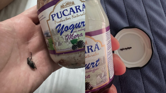 Consumidor encontró un bicho y un tallo de mora en dos envases de yogurt