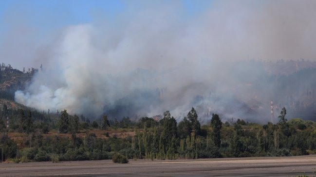 Renunció el director de Senapred en La Araucanía con 13 incendios activos en la región