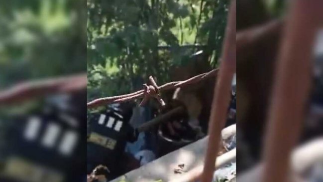 Guardias municipales que atacaron a indigente en Viña del Mar quedaron en prisión