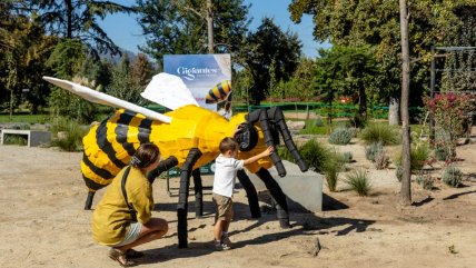   Cementerio instaló muestra de insectos gigantes y reciclados 