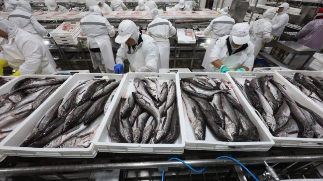 Ley de Fraccionamiento: Comisión mixta sesiona sin unanimidad para nueva votación