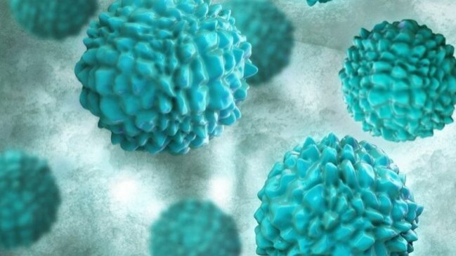 Una vacuna oral contra el norovirus da resultados positivos en un ensayo clínico de fase 2