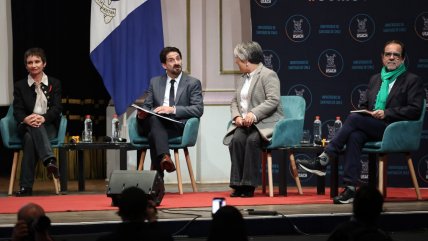   Seguridad, terreno y experiencia: Temas que marcarán la franja oficialista 