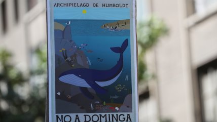   Gobierno tras fallo del TC por Dominga: 