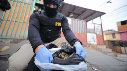   PDI realiza megaoperativo antidrogas en distintos puntos de Antofagasta 