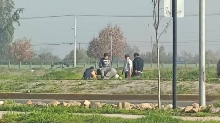  Vecinos de Colina denunciaron faenamiento de caballos en plena vía pública  