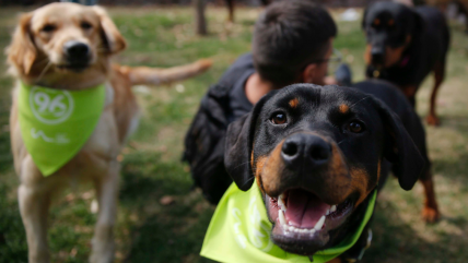   Abren consulta ciudadana para actualizar 