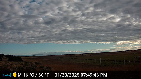 Imagen foto_00000013