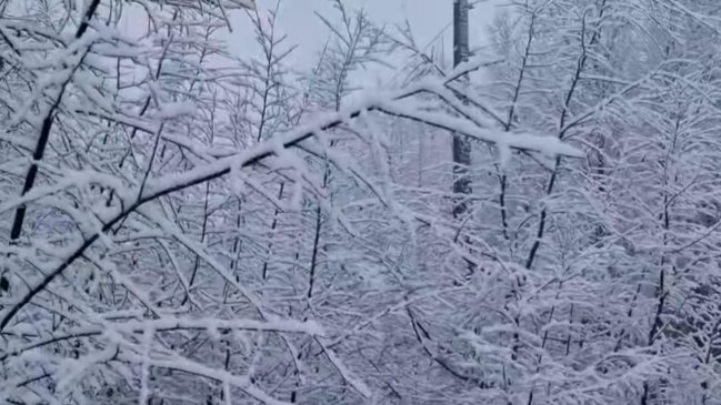 Gran acumulación de nieve: 138 personas están aisladas en La Araucanía