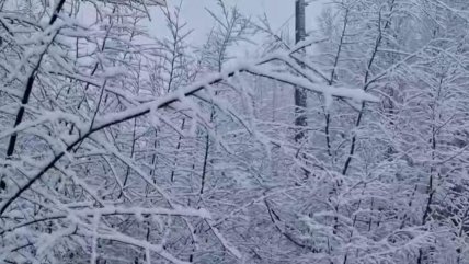  Gran acumulación de nieve: 138 personas están aisladas en La Araucanía  