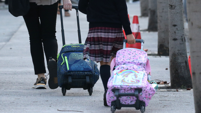 Colegio de Río Bueno suspendió clases por larvas, ratones, palomas y murciélagos