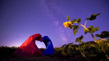   Festival Qixi: el San Valentín chino que une amor y tradición 