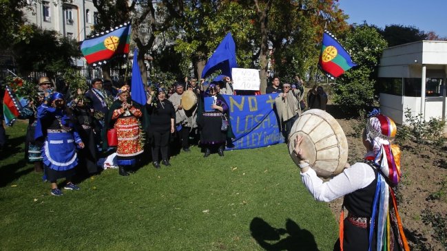 Consejera Conadi rechaza Consulta Indígena y se anuncia visita a La Moneda