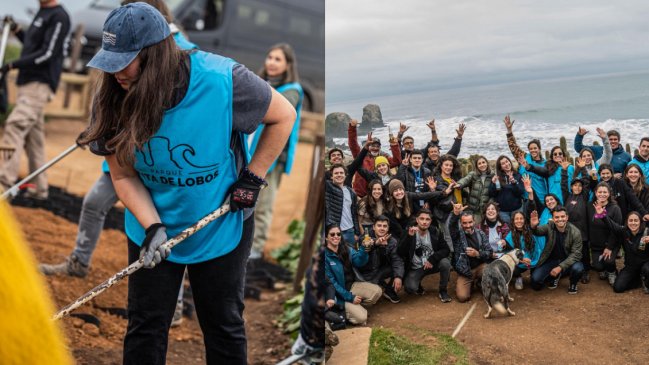 Cervecería AB InBev y Cerveza Corona impulsan plan de conservación en Parque Punta de Lobos
