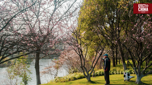 Shanghái supera los 1.000 parques y proyecta duplicar la cifra para 2035