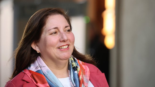 Vodanovic: Quisiera que Ximena Rincón dejara de presentar esto como un tema personal y victimizarse