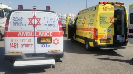  Conductor de camión con ayuda para Gaza mató a dos israelíes  