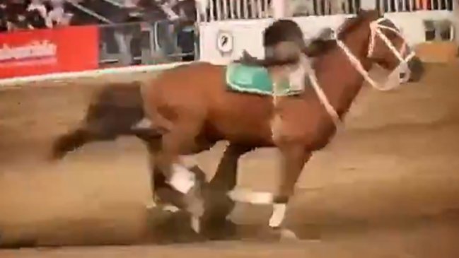 Carabinero resultó herido durante presentación ecuestre en La Reina