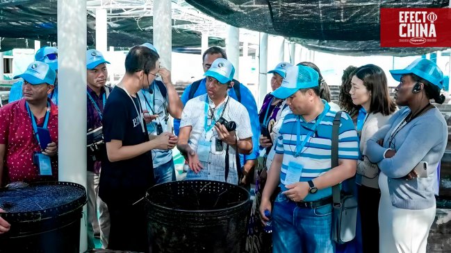 BRICS impulsa la innovación industrial con competencia global en China