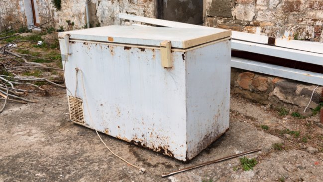 Anciana guardó el cuerpo de su hija en un congelador durante 20 años en Japón