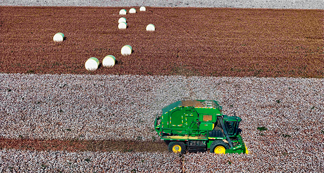 Imagen foto_00000011