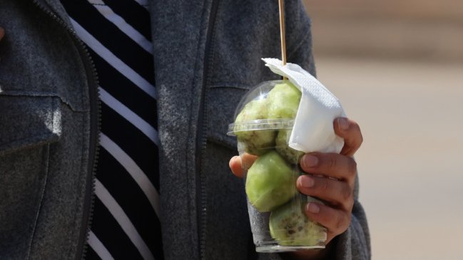 Santiago superará los 30°C por primera vez en seis meses