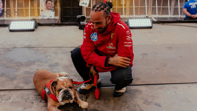 [VIDEO] Lewis Hamilton se emocionó al recordar a su perro fallecido