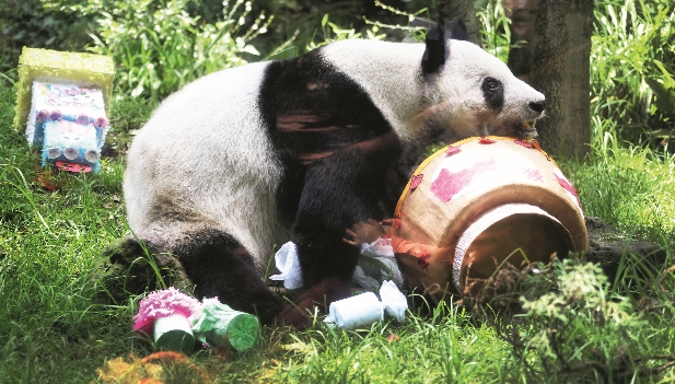 Imagen foto_00000011