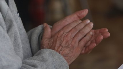   Aulas Mayores, el programa de la UCSH que ofrece educación gratuita a la tercera edad 