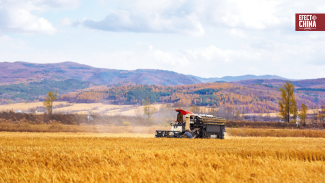 China Hoy: La osada reinvención de Jilin