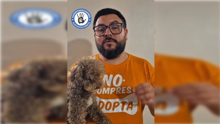  CORE del Biobío bajo investigación por presunto delito sexual  