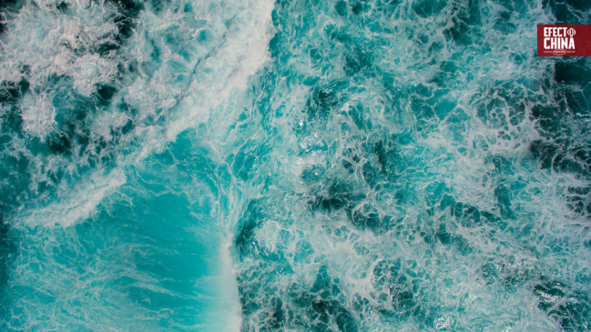 Xiamen inaugura la Semana Internacional de los Océanos 2025