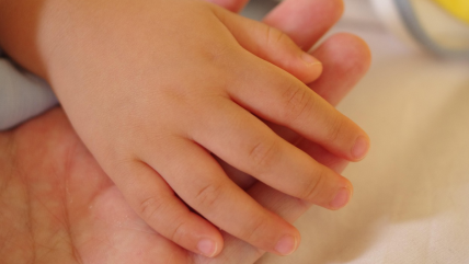   Creciendo Juntos: La crianza con límites y buen trato 