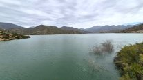 Alegría en Canela, Illapel y Salamanca: embalse Corrales se llenó por segundo año consecutivo