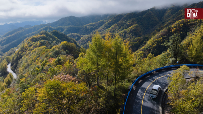 China endurece normas para combatir incendios forestales y proteger zonas rurales